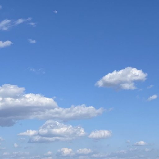 ミニョン⭐️午後の頭皮のニオイが…😞香りで誤魔化すだけじゃない！頭皮フレグランス｜